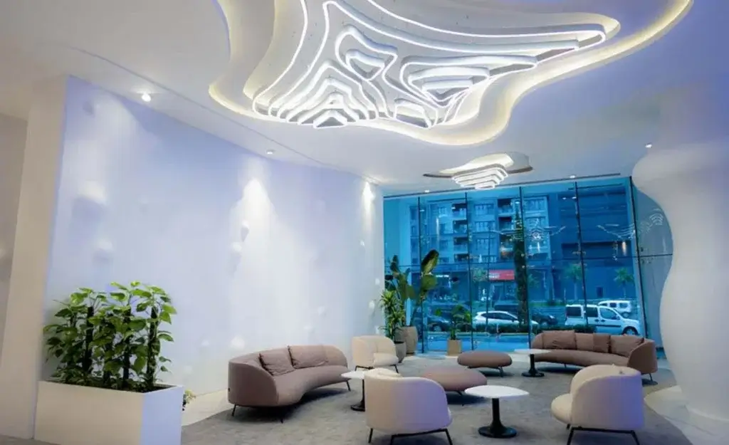 elithair hair transplant clinic